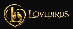 Celebrity escort lahore